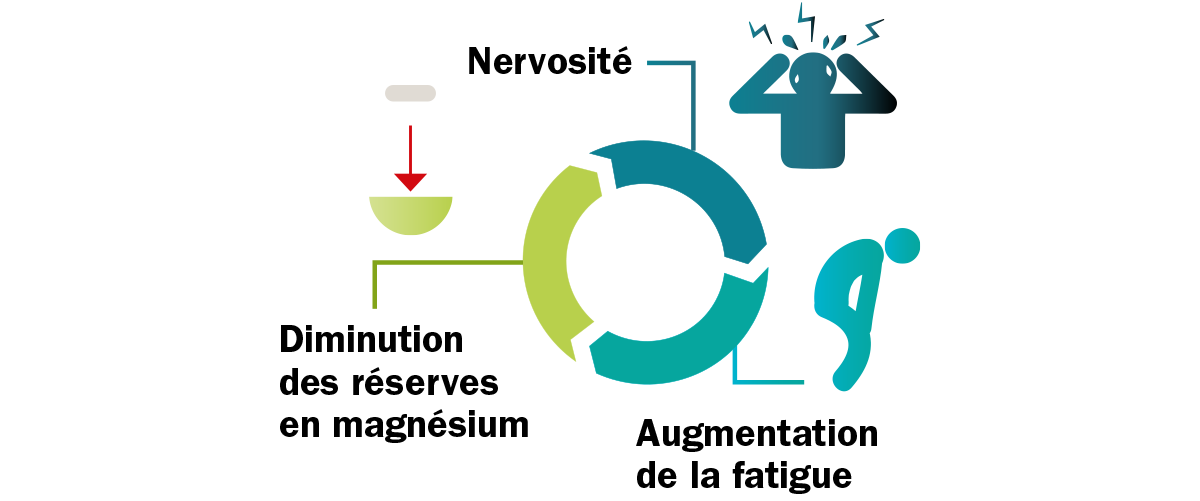 Magnésium Vitamine B6